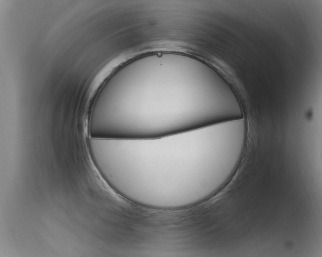 X0000115761188200911130953