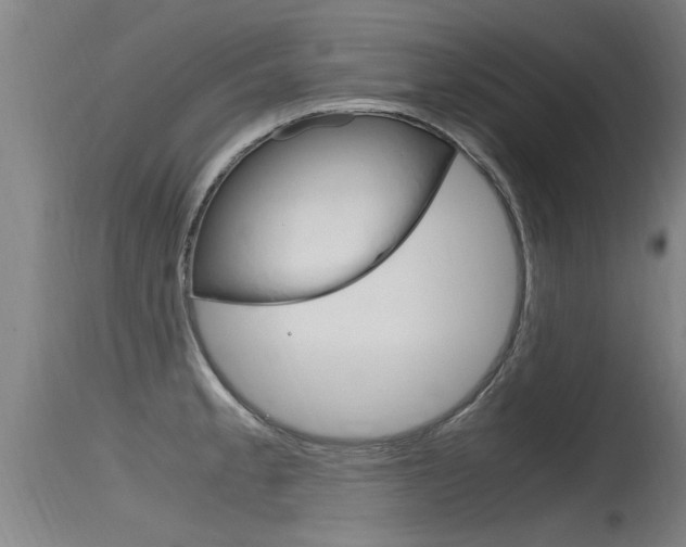 X0000115761189200911130953
