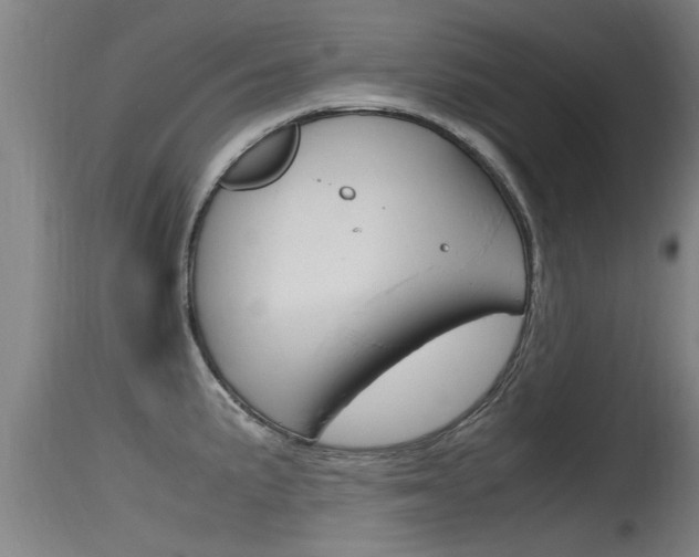 X0000115761191200911130953