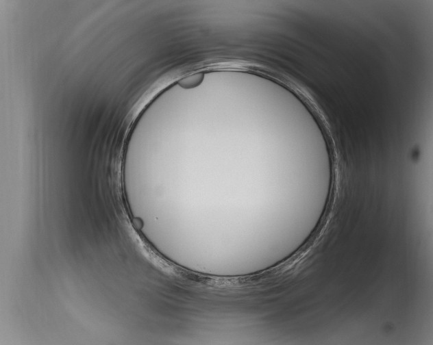 X0000115761194200911130953