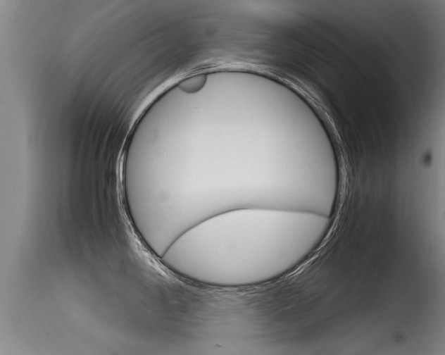 X0000115761198200911130953