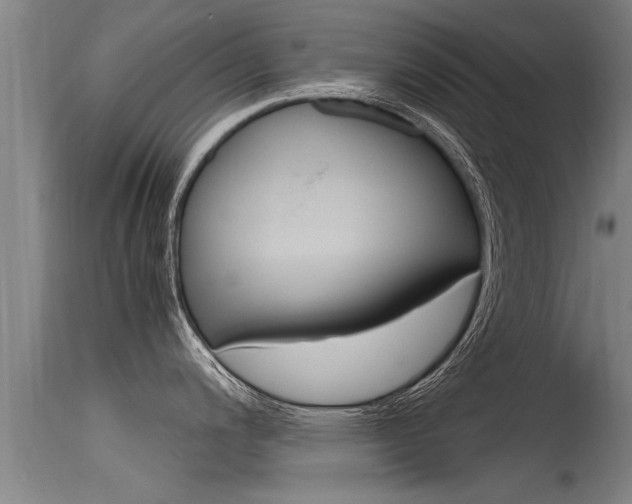 X0000115761200200911130953