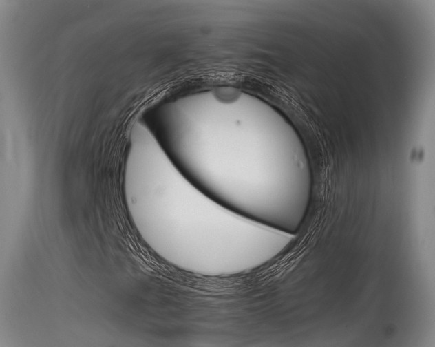 X0000115761201200911130952