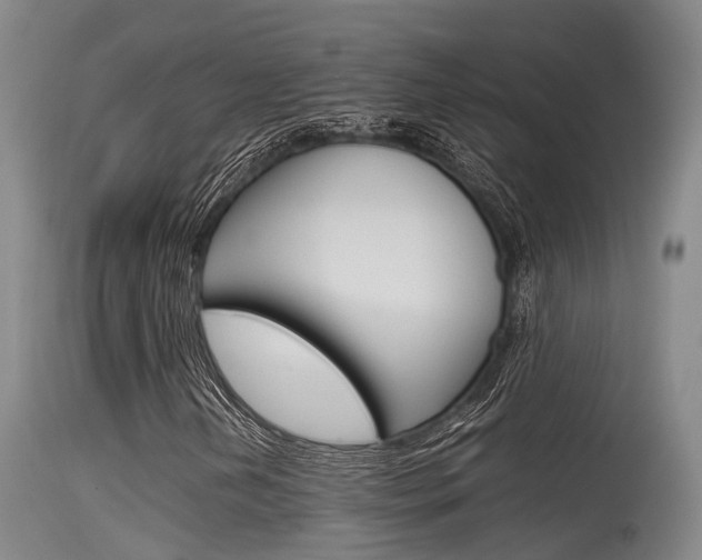 X0000115761202200911130952