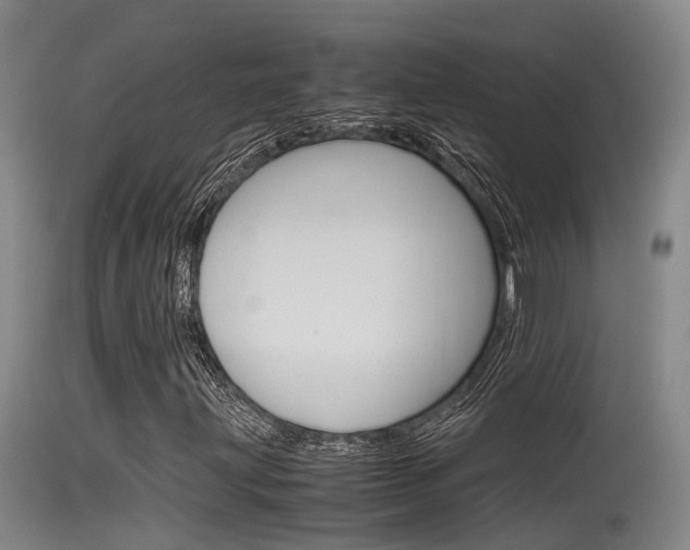 X0000115761203200911130952