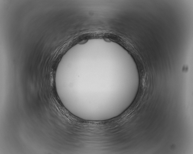 X0000115761204200911130952
