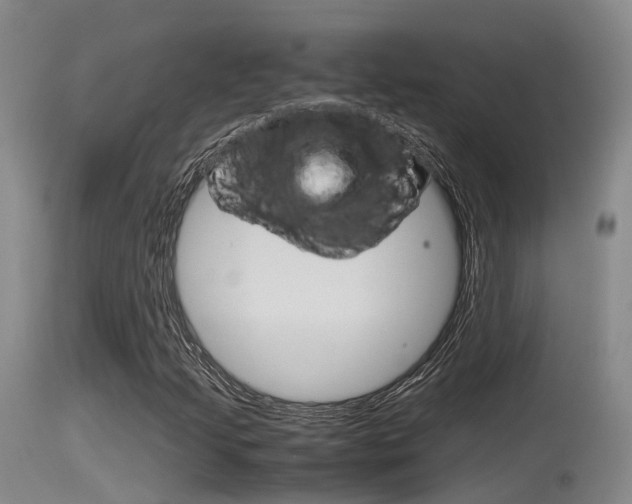 X0000115761205200911130952