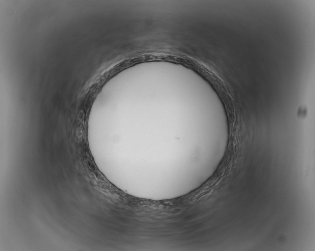 X0000115761207200911130952
