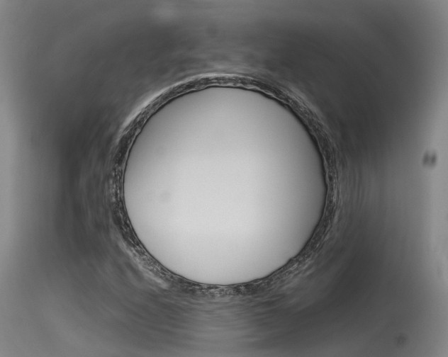 X0000115761208200911130952