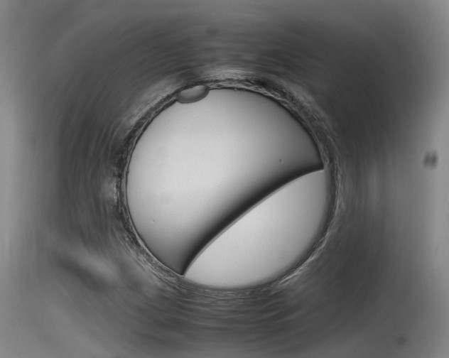 X0000115761209200911130952
