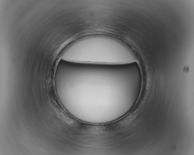 X0000115761210200911130952