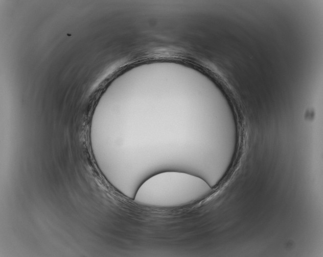 X0000115761211200911130952