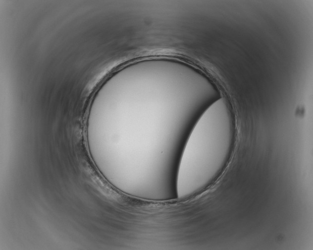 X0000115761212200911130952