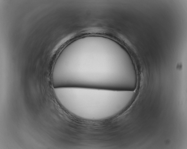 X0000115761213200911130952