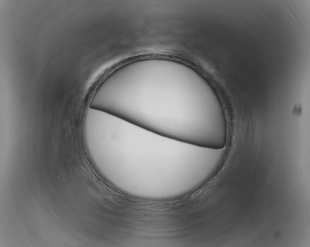 X0000115761214200911130952