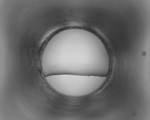 X0000115761215200911130952