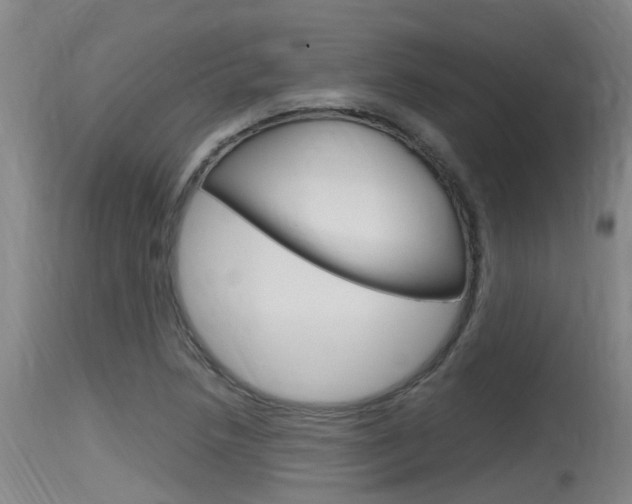 X0000115761218200911130952