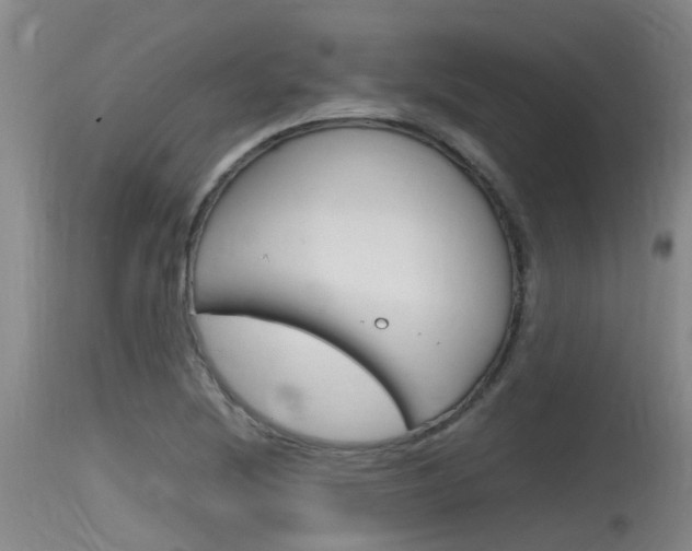 X0000115761220200911130952