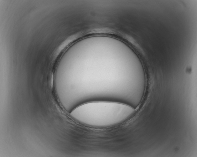 X0000115761221200911130952