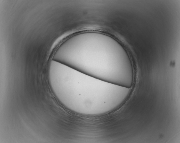X0000115761222200911130952