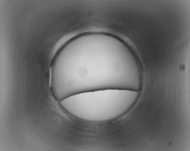 X0000115761223200911130952