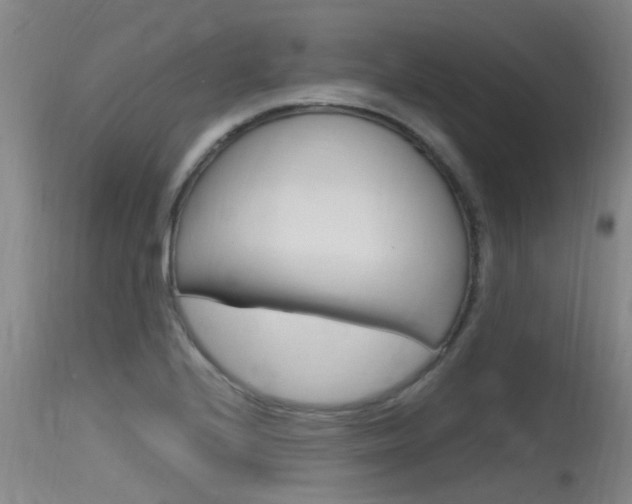 X0000115761224200911130952