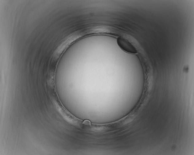 X0000115761225200911130952