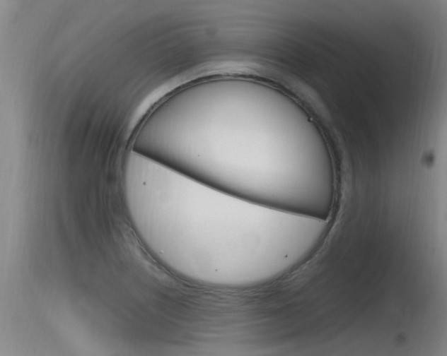 X0000115761226200911130952