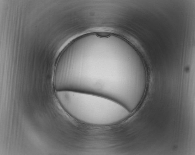 X0000115761228200911130952