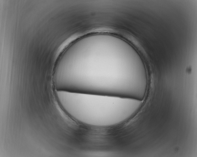 X0000115761229200911130952