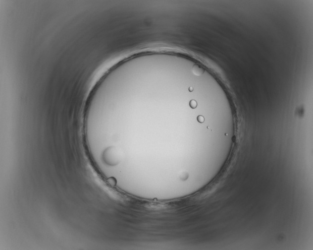 X0000115761231200911130952