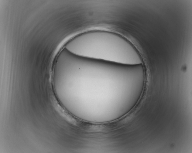 X0000115761232200911130952