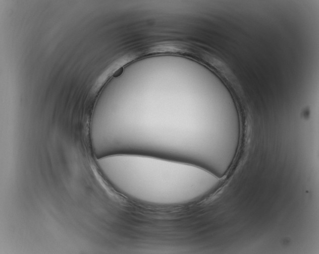 X0000115761233200911130952