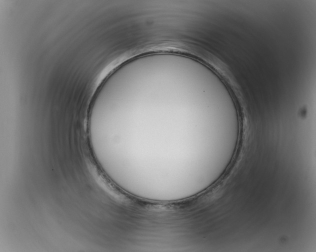 X0000115761234200911130952