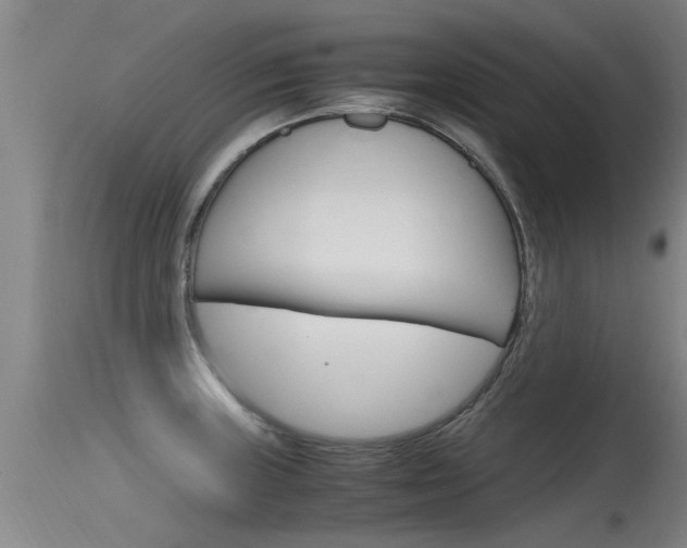 X0000115761235200911130952