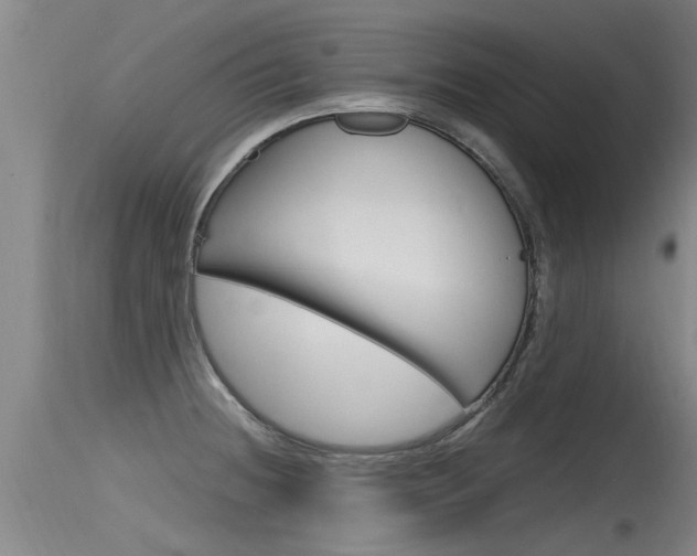 X0000115761236200911130952