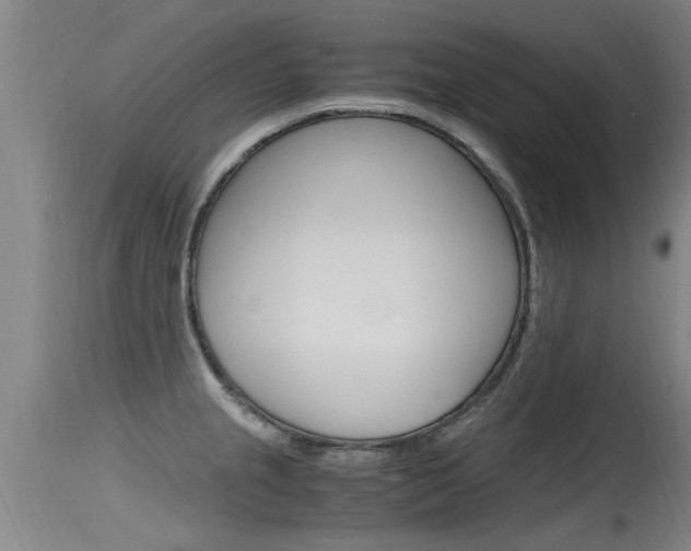 X0000115761237200911130952