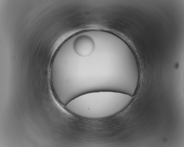 X0000115761239200911130952
