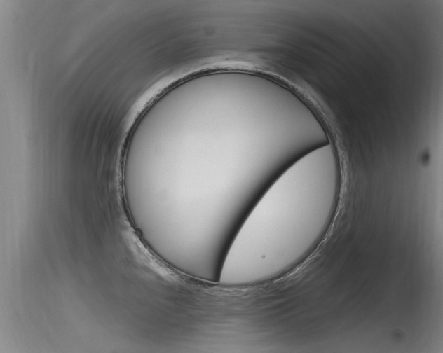 X0000115761240200911130952