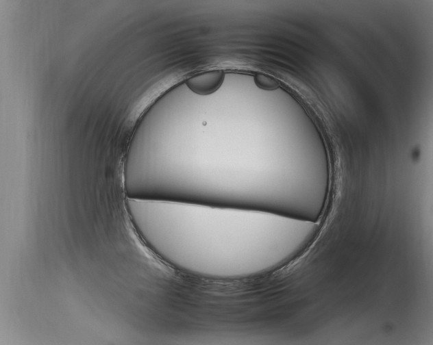 X0000115761241200911130952