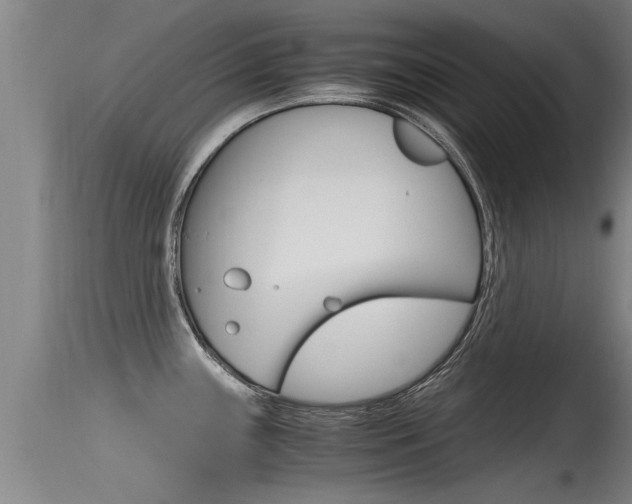 X0000115761243200911130952