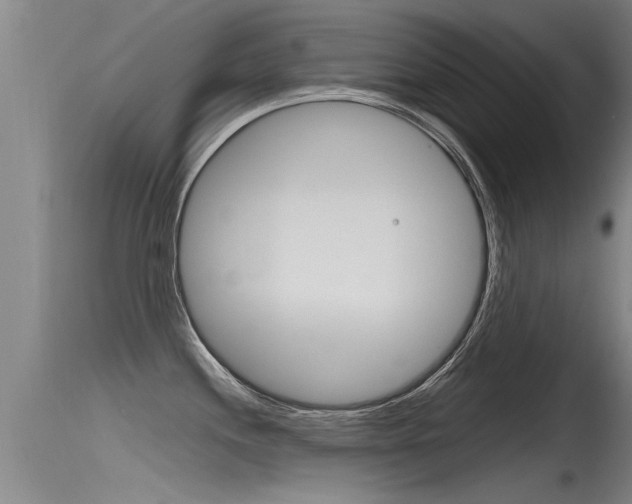 X0000115761244200911130952