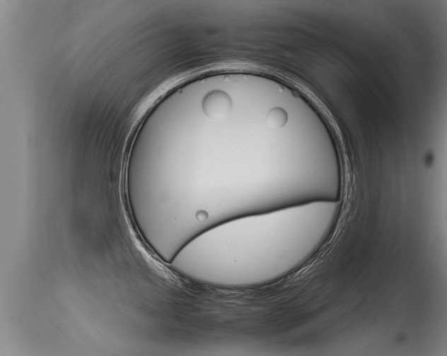 X0000115761245200911130952