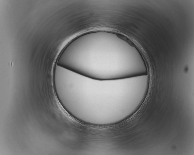 X0000115761246200911130952