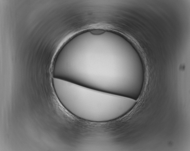X0000115761248200911130952