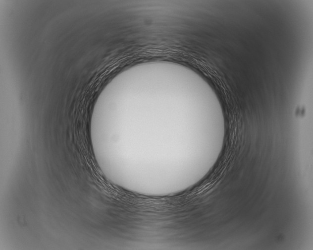 X0000115761249200911130952