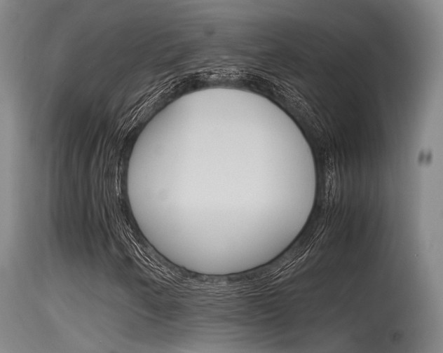 X0000115761250200911130952