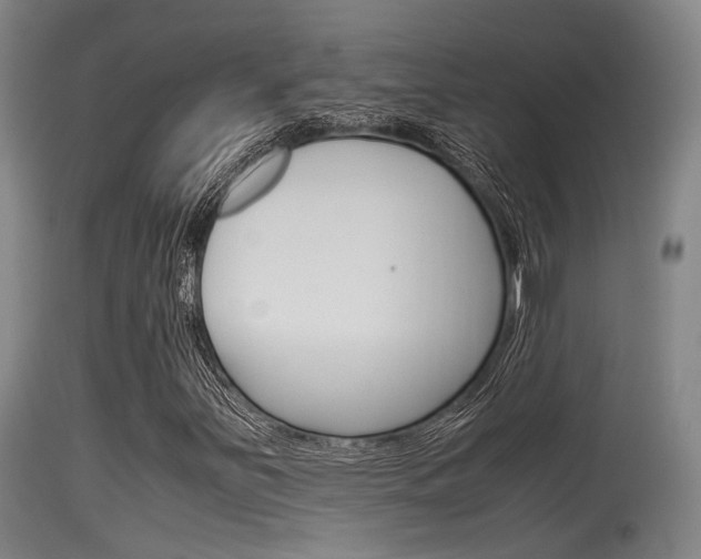 X0000115761251200911130952