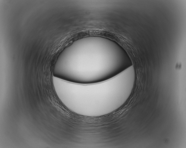 X0000115761252200911130952