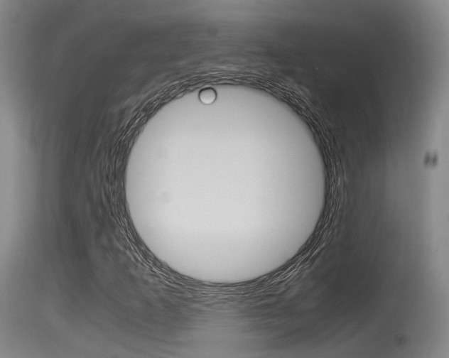X0000115761253200911130952